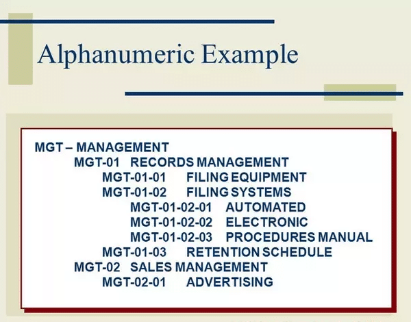 alpha numeric characters examples